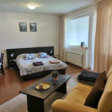 Sunny Studio Apartment - Few Steps From Gondola Bansko Exterior foto