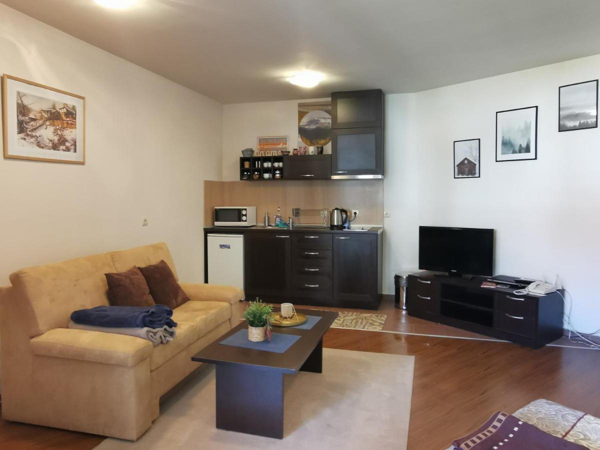 Sunny Studio Apartment - Few Steps From Gondola Bansko Exterior foto